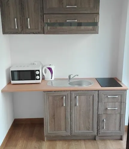 Πανσιόν Bryza *